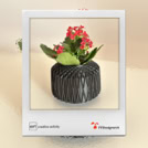 shopify. oggetti di arredo.