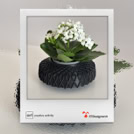 shopify. oggetti di arredo.
