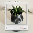 shopify. oggetti di arredo.