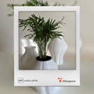 shopify. oggetti di arredo.
